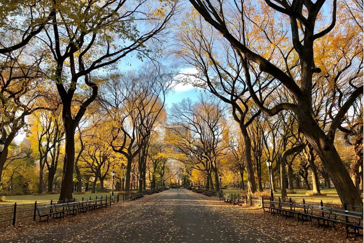 The Beauty of a Bitter Providence Together Blog