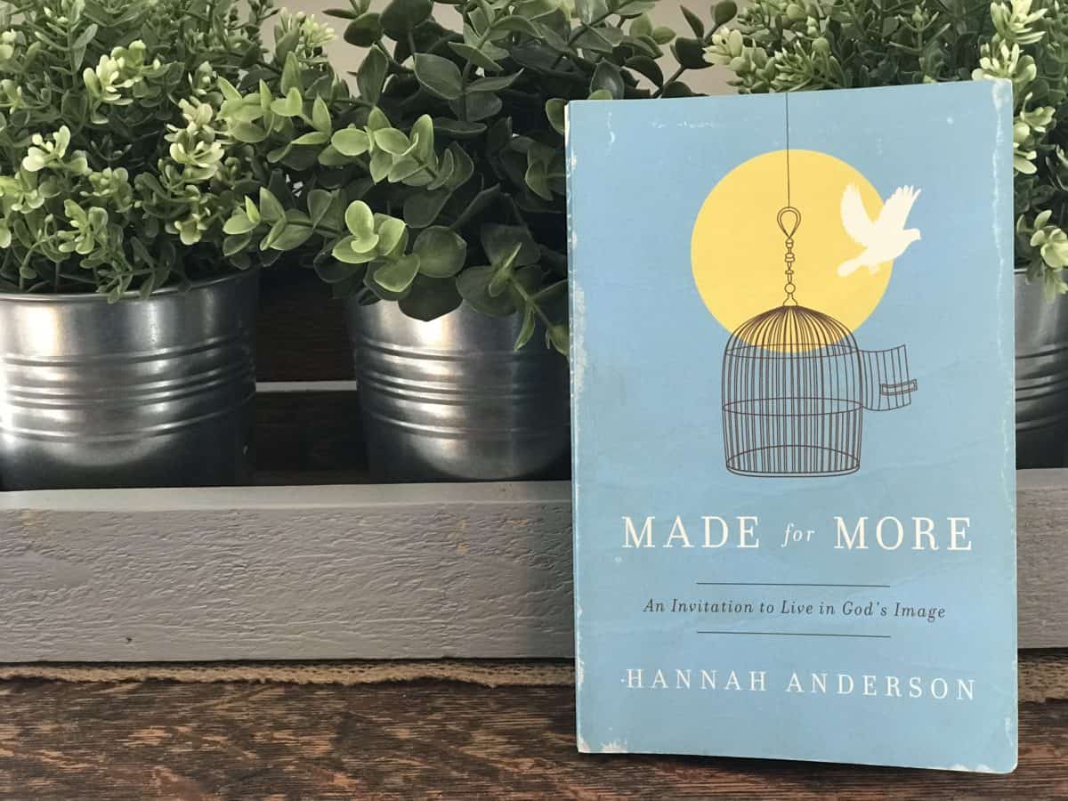 Book Recommendation by Meghan Mellinger – Together Blog